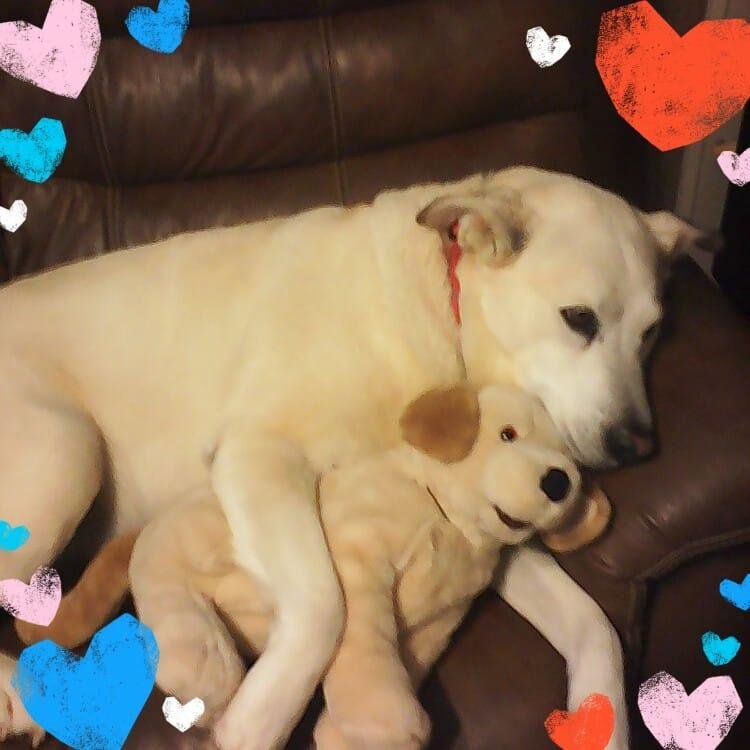 Marley@friend