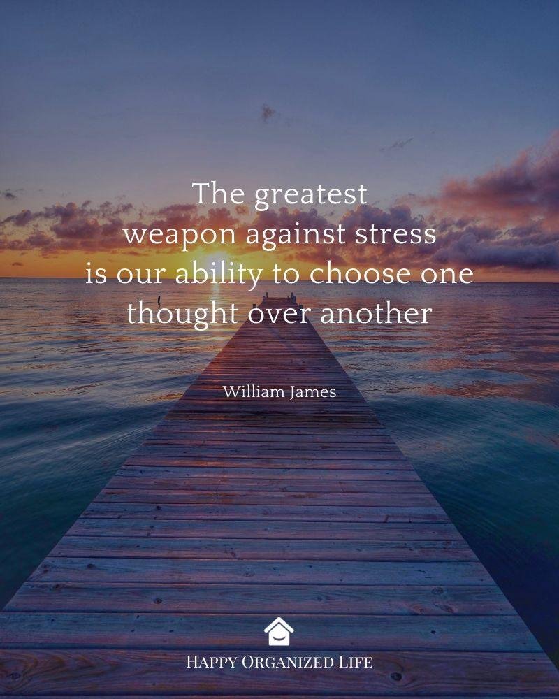 Marc Cohen's album, Timeline photos
