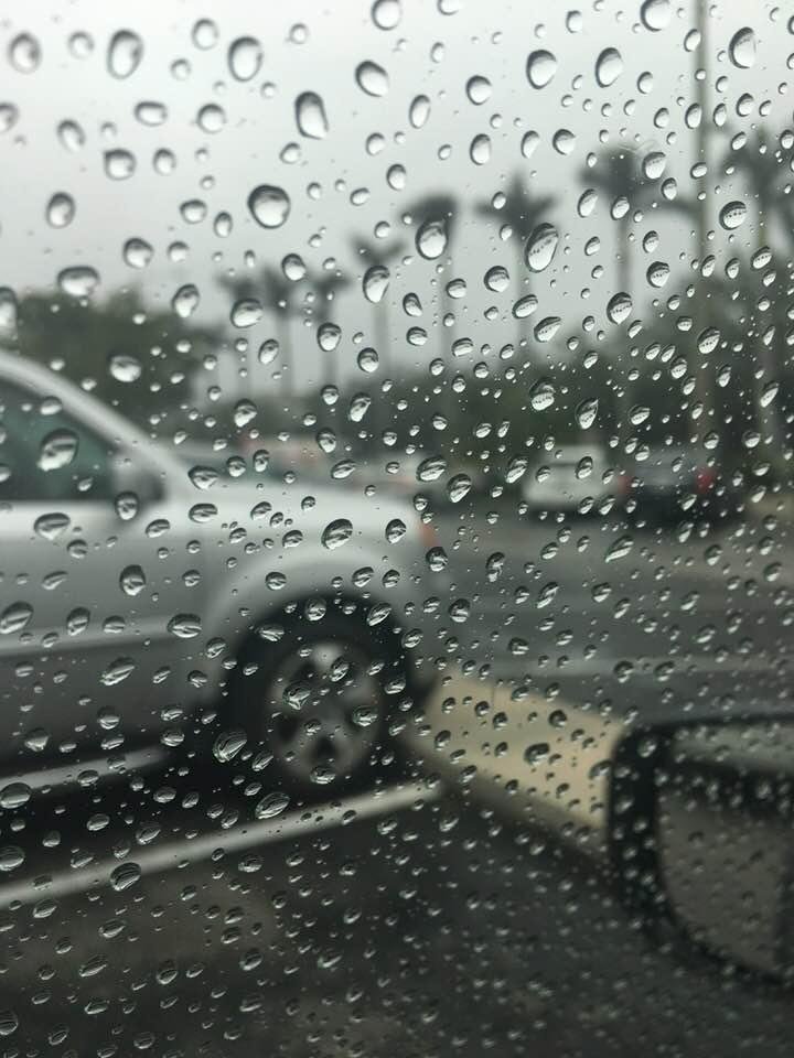 63 f and falling! 50’s tonight. Winter in Miami!