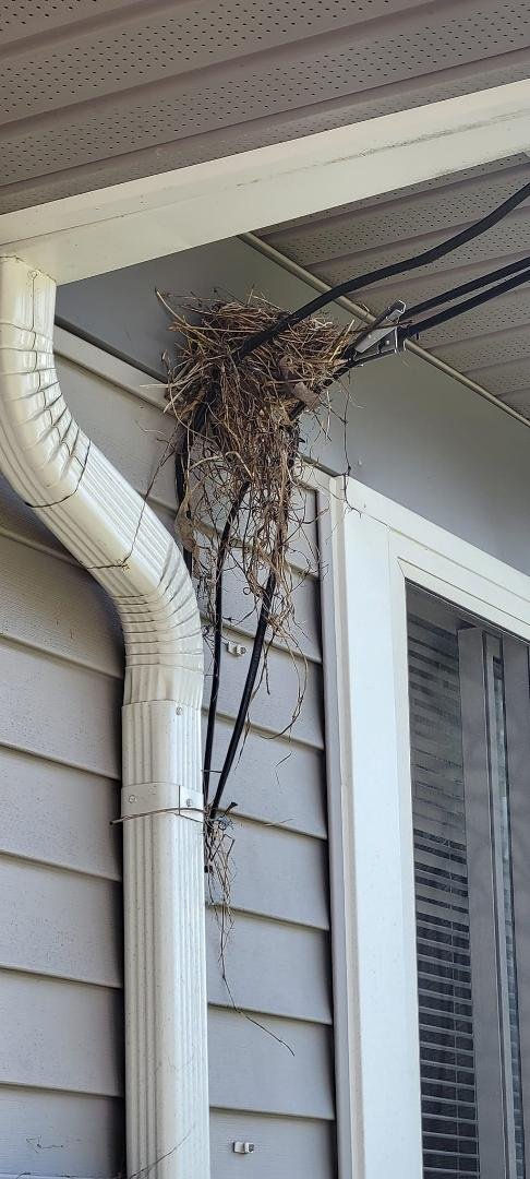 Birds have been busy! This is a first at our house. We haven't seen the homeowners though. Hope they come back!