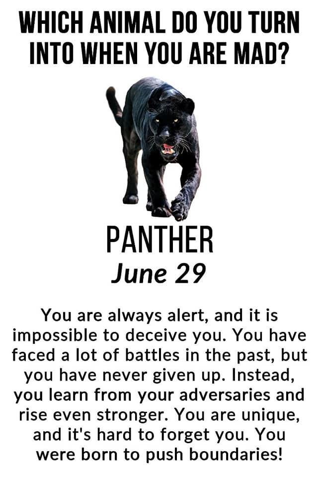 Janet Oliver's album, Timeline Photos