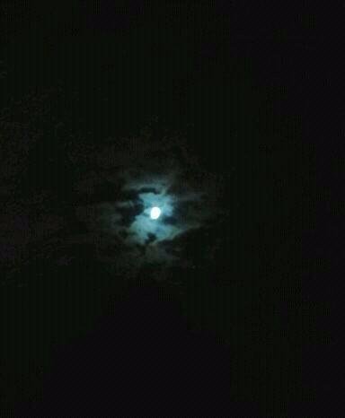 The moon the other night