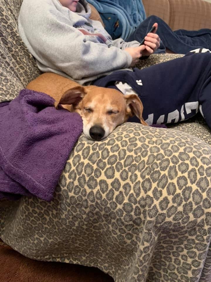 He had a spa day now he wiped out
