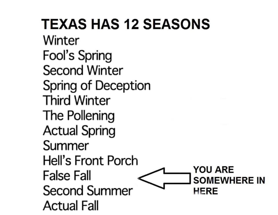 Yep, we will be in false fall this week, and then I’m sure the second summer will arrive for a month, then maybe by the end of October fall will be here. I’ve seen it in the 90’s in November, December and January though.