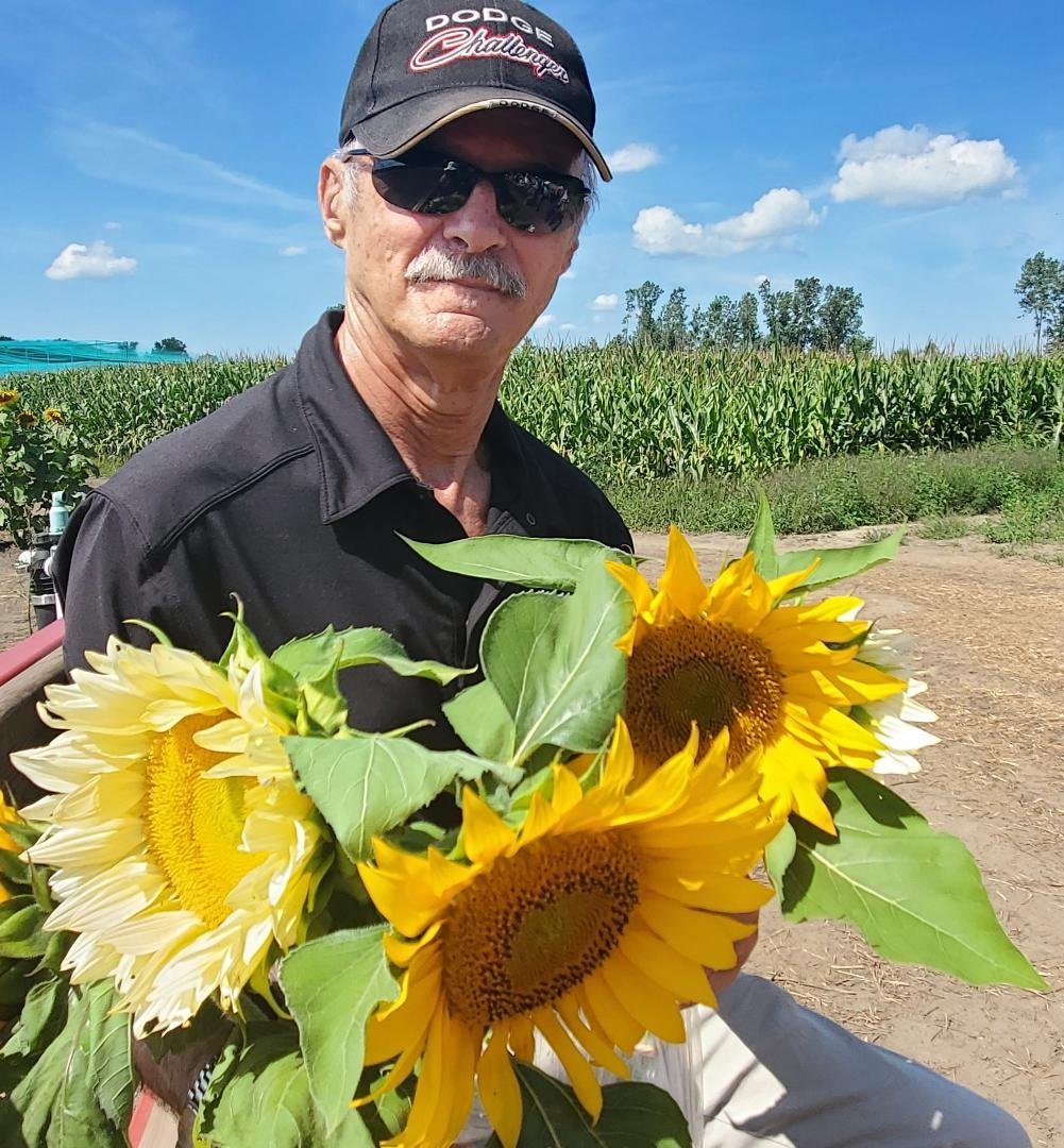 Spent this morning at Kustermans Farm. It's just east of London where they specialize in berries. They also excel at sunflowers. As you can see I'm even more beautiful than usual. Nice eh?