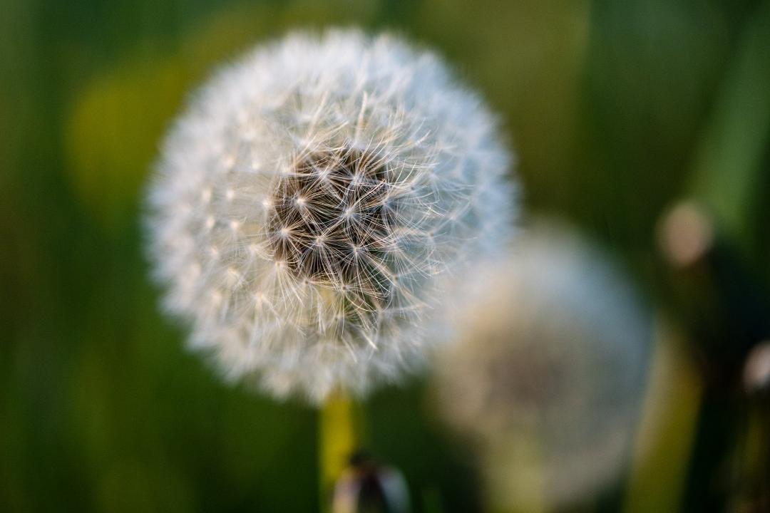 David Durkee's album, Mobile uploads
