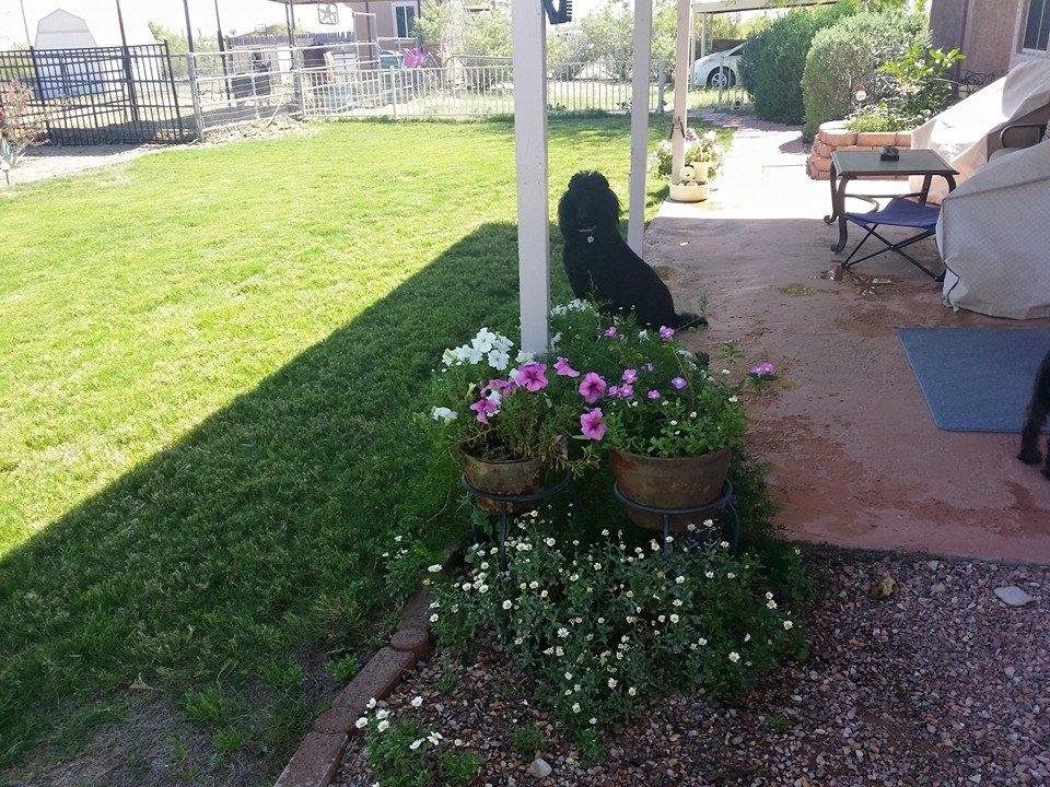 My pretty Monique
