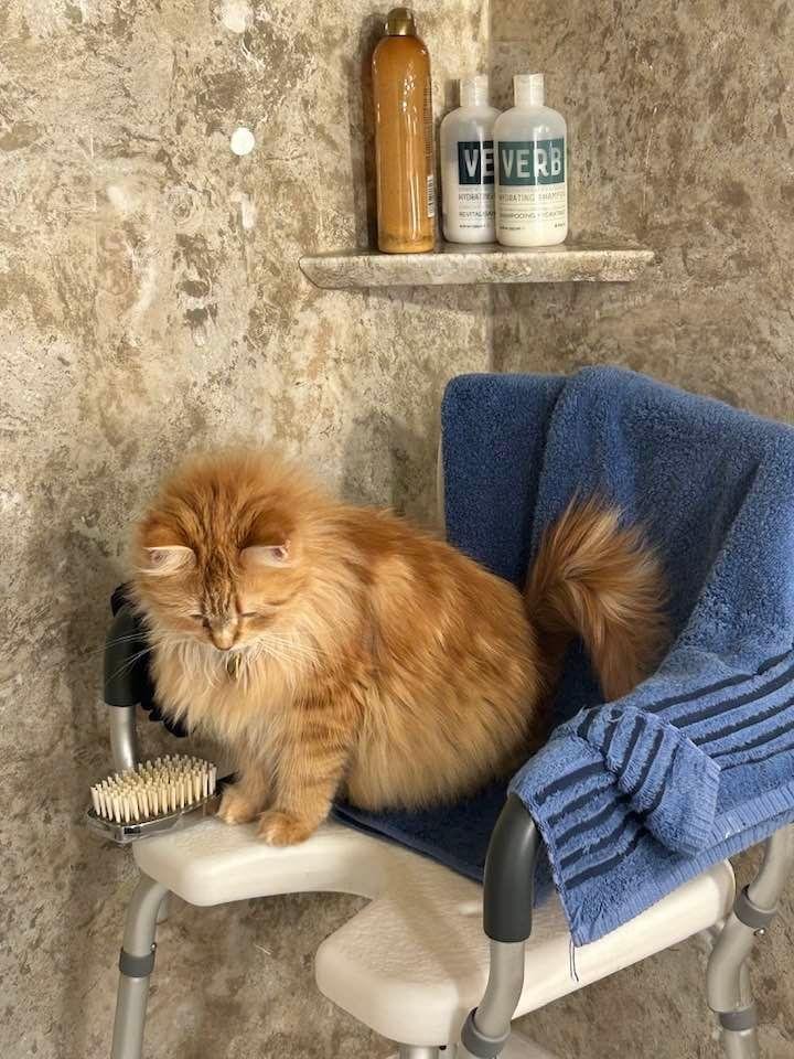 I wonder if she is thinking she needs a shower!