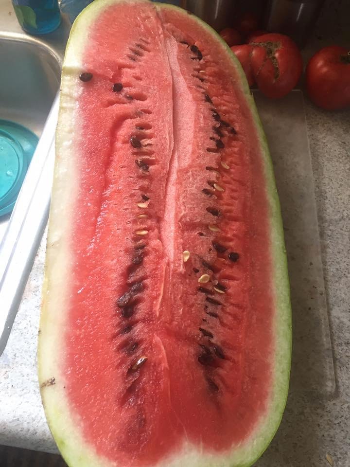 Farmer Jim did it again! Yummy!