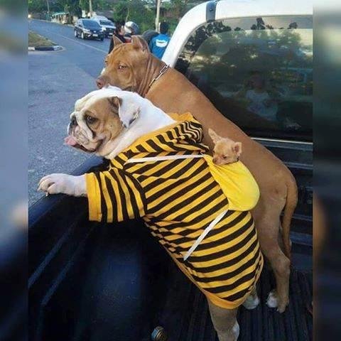 Sandy Frere's album, Timeline Photos