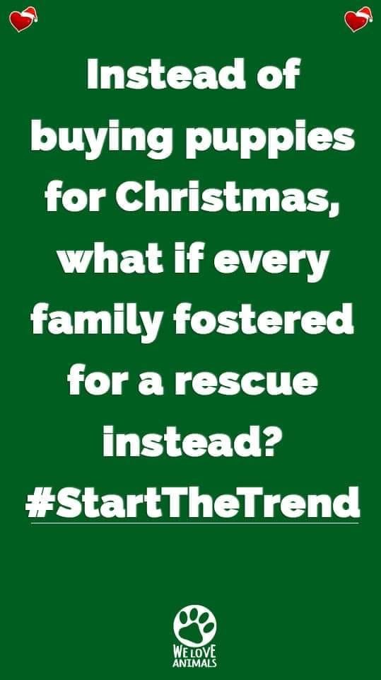 Pamela Campbell's album, Timeline Photos