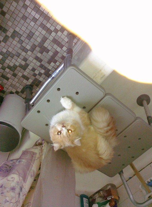 I hope I get another bath soon