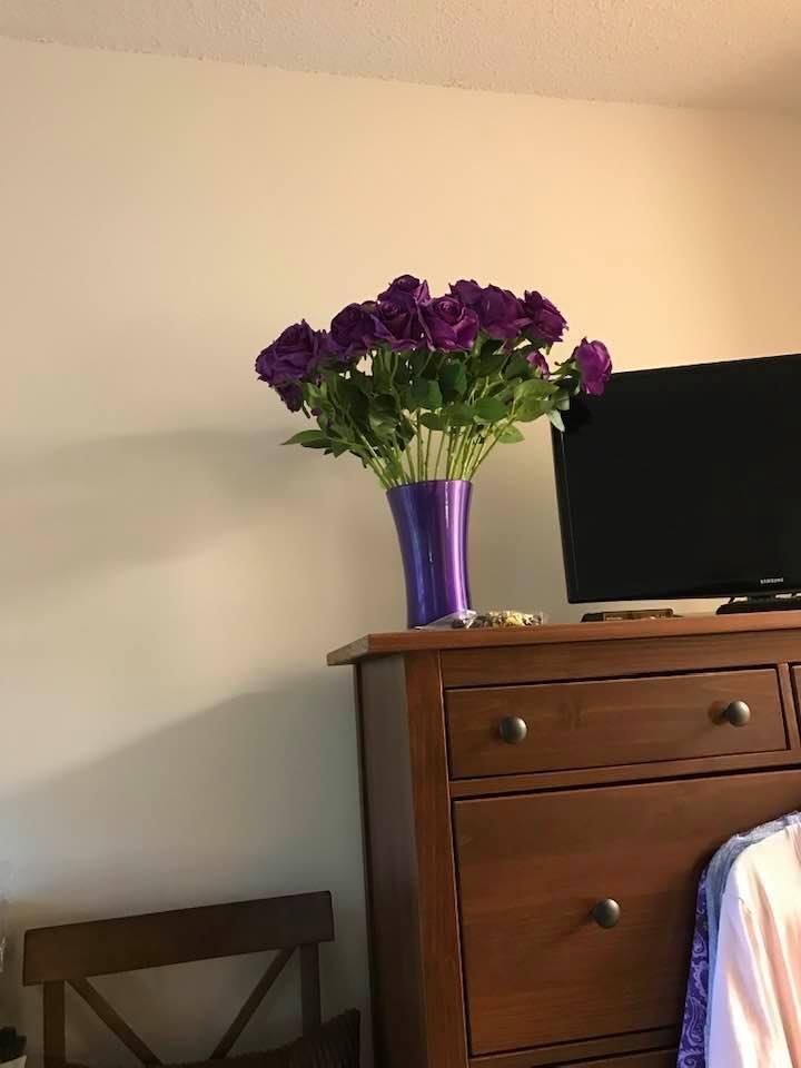 My purple roses!