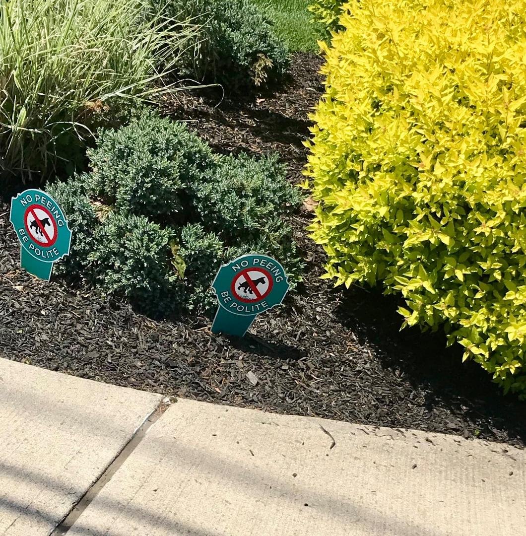 Walking the Dog?