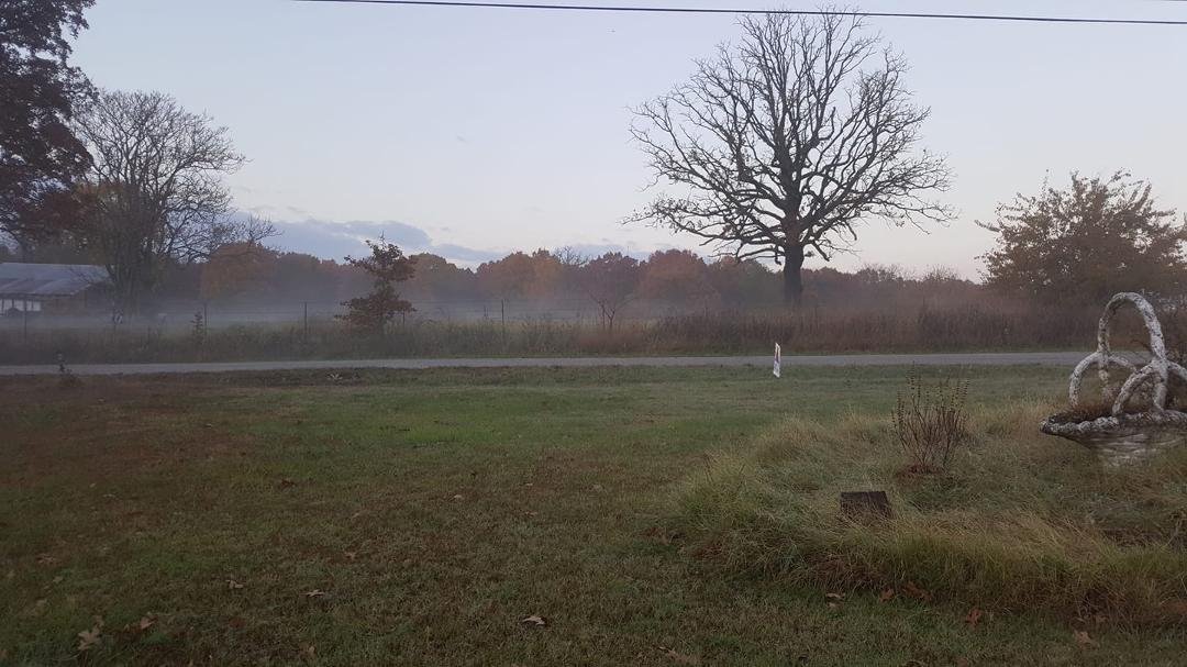 Fog rising after a day of rain.
