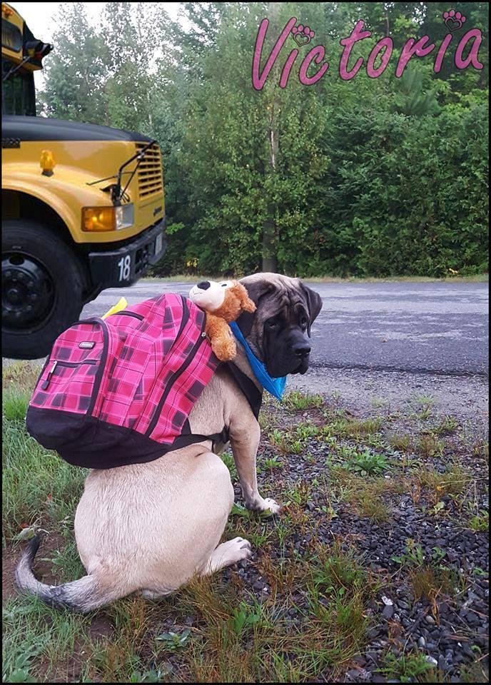 Are your kids ready to go back to school?