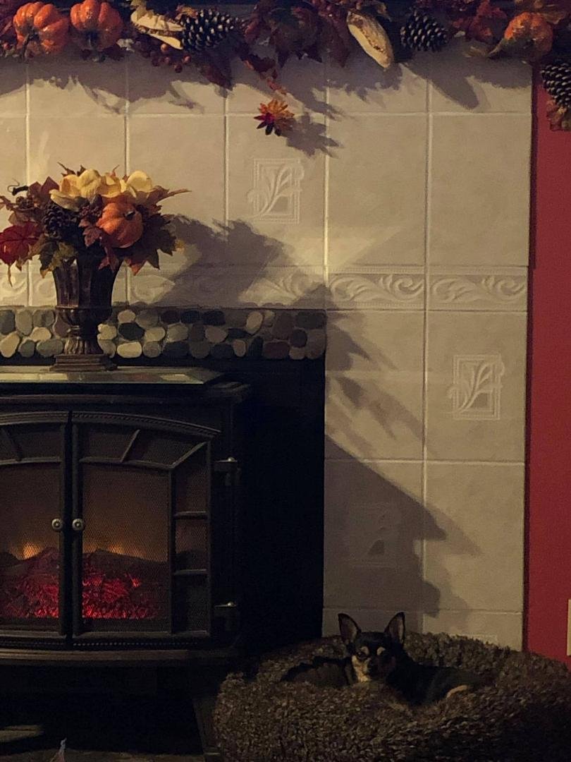Olivia is enjoying an evening by the fireplace. 😊❤️