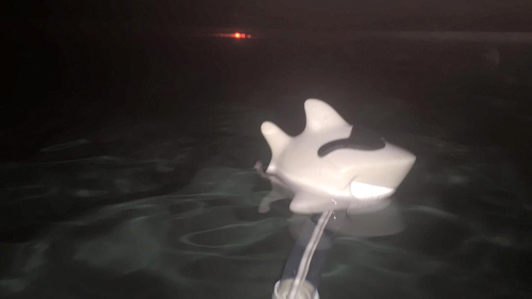 Mark Davis' album, Mobile Uploads