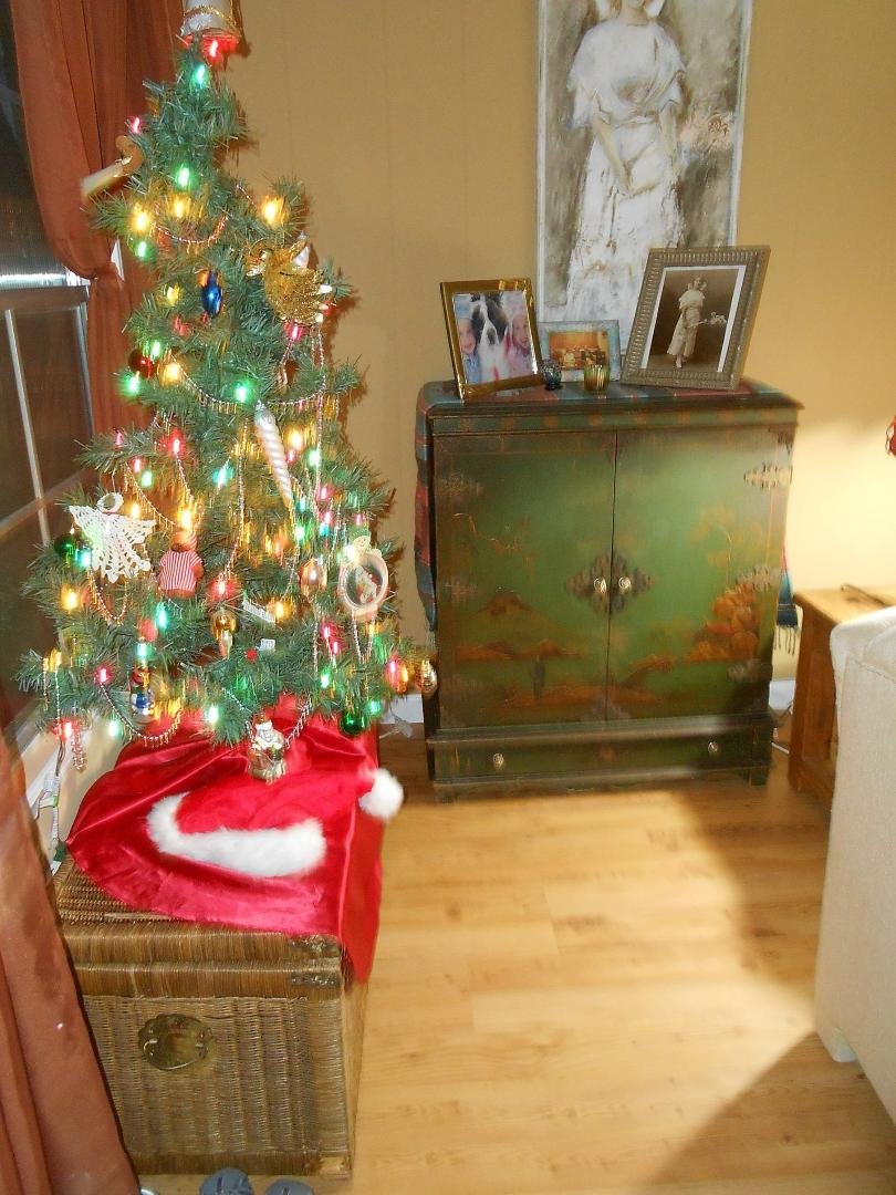Barbara Newman's album, Timeline Photos