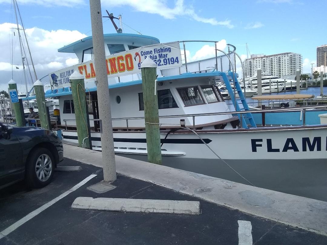 Getting ready to go out and go fishing I'll let you know in about 5 hours how it went