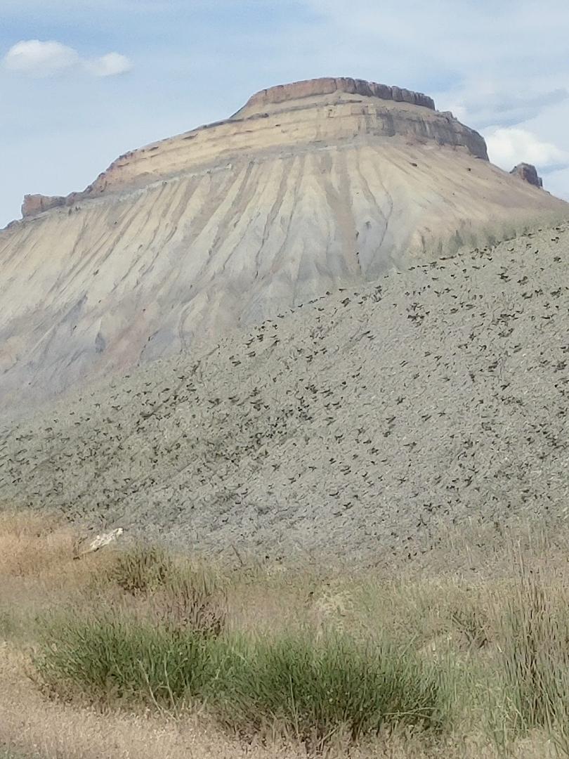 Grand Junction, CO