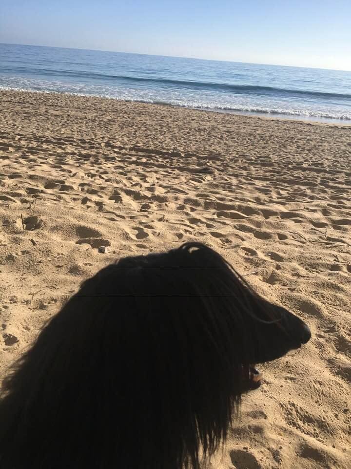 Rio and I both enjoying the serenity and beauty of the day