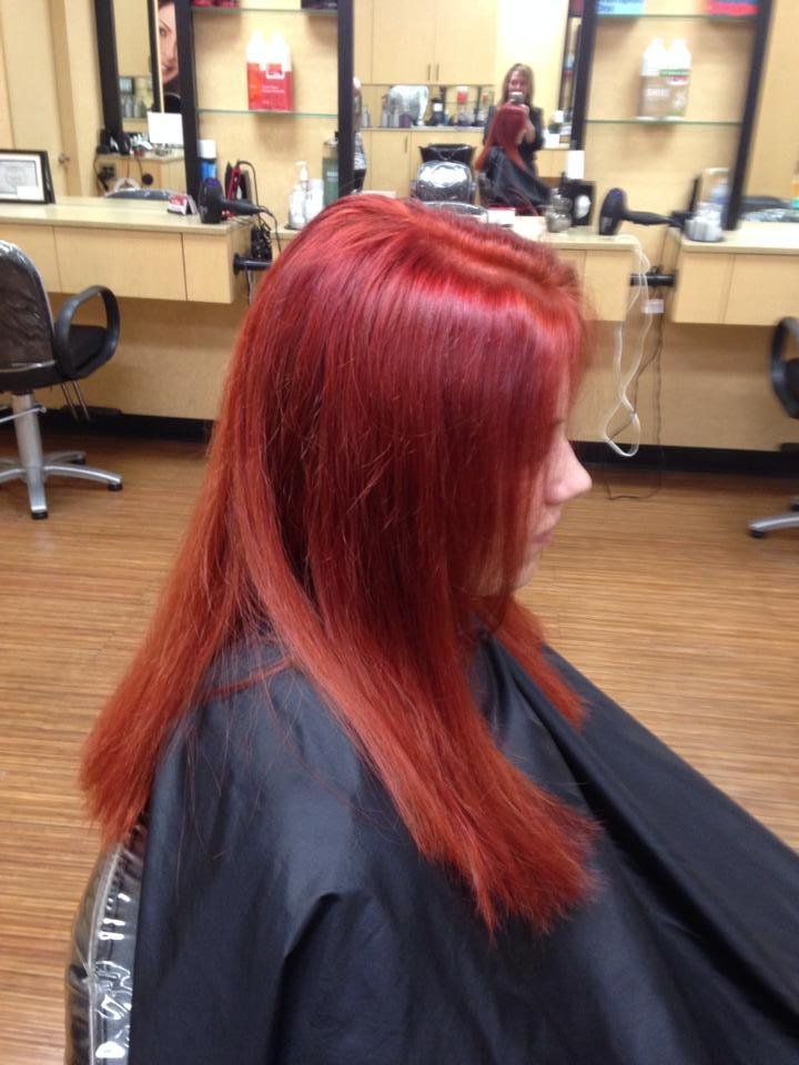 Here's what I did today
