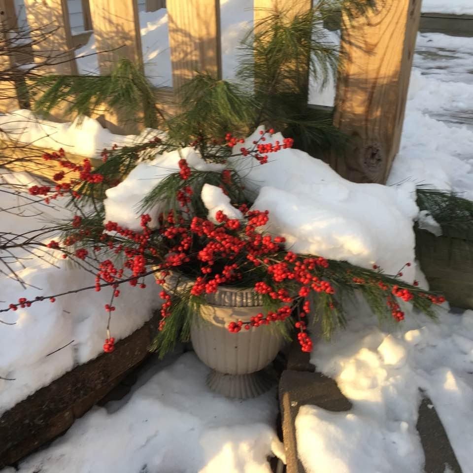 Michele Verdone's album, Timeline Photos