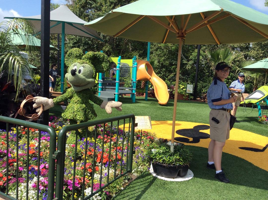 Great thing about having Disney in our backyard is getting to visit Epcot flower show.