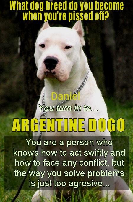 Daniel Strange's album, Timeline Photos