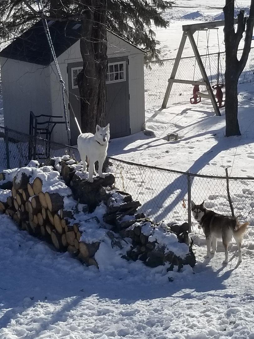Queen of the mountain?