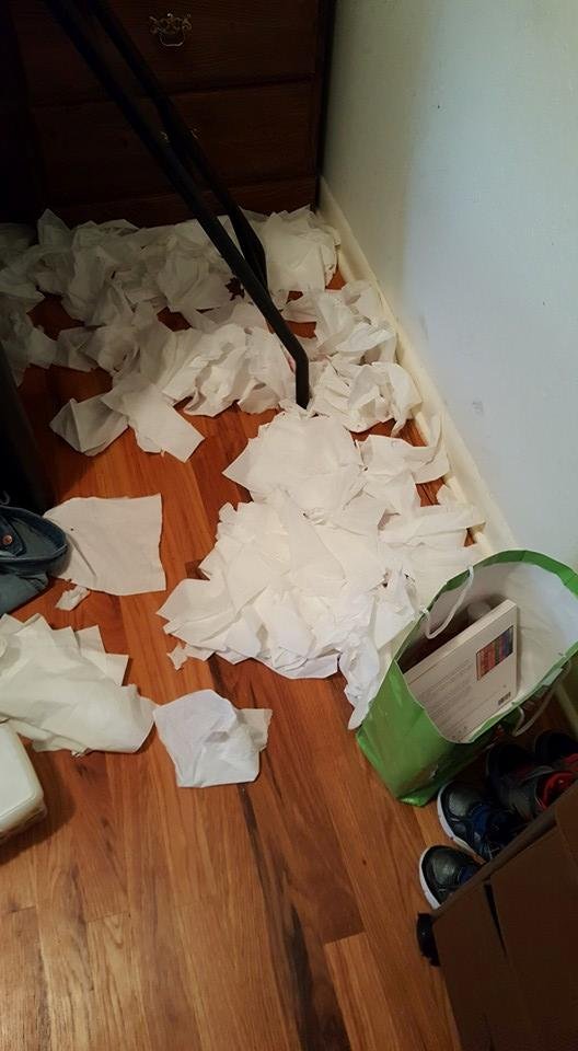 What a 3 year old does when he's bored