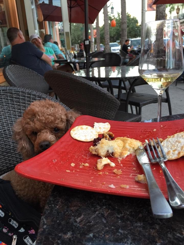 Wine and Brie with Cubby O'Brien