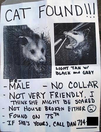Well, Hel-lo Kitty! Anyone here lose a cat??