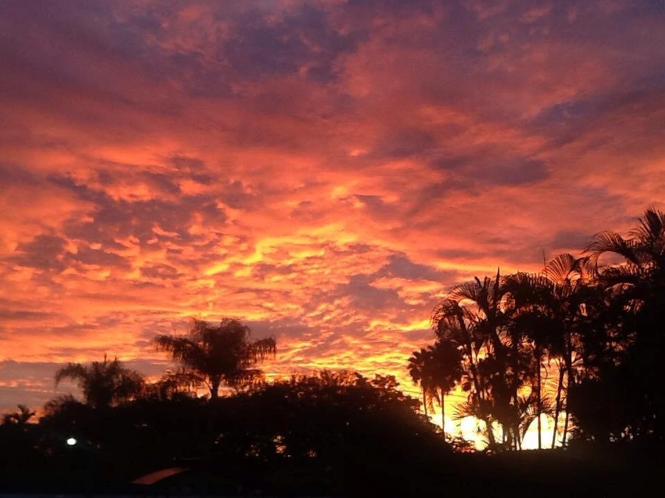 Greetings from South Florida.