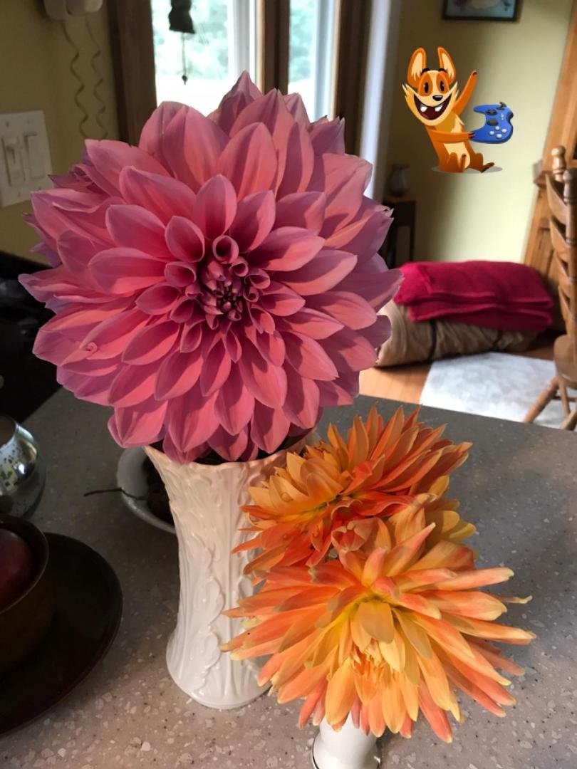 Connie Rieger's album, Mobile Uploads