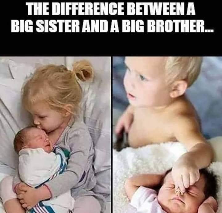 Robert Simonowits' album, Timeline Photos