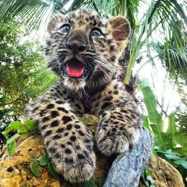 Hey looking at you