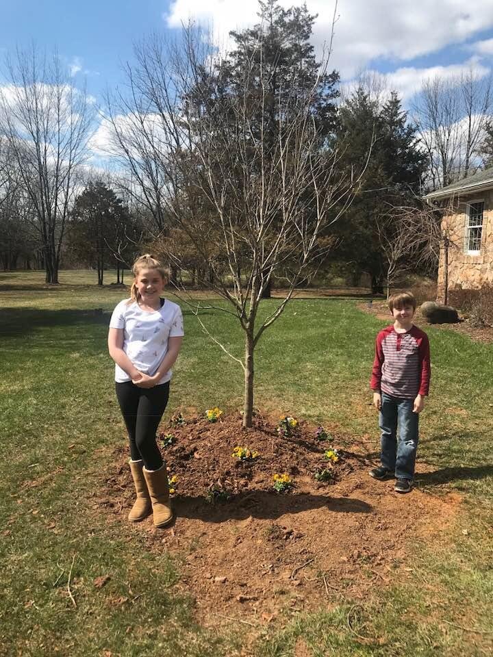 Tree planting for Daddy today.