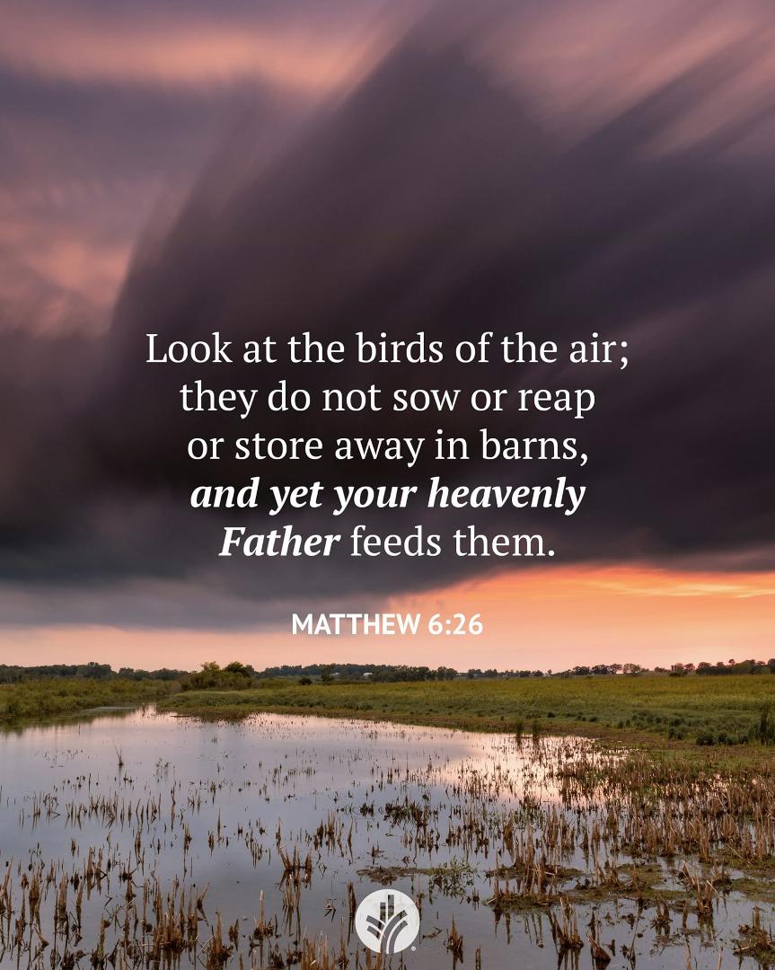 How do you see God’s provision for creation where you live? How might that serve as a reminder of His care for you too?
Father, the beauty of Your provision is ever on display. Thank You for the richness of Your creation. P