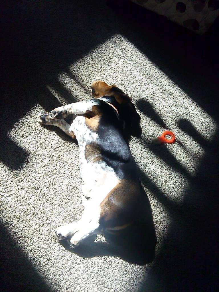 sunbathing