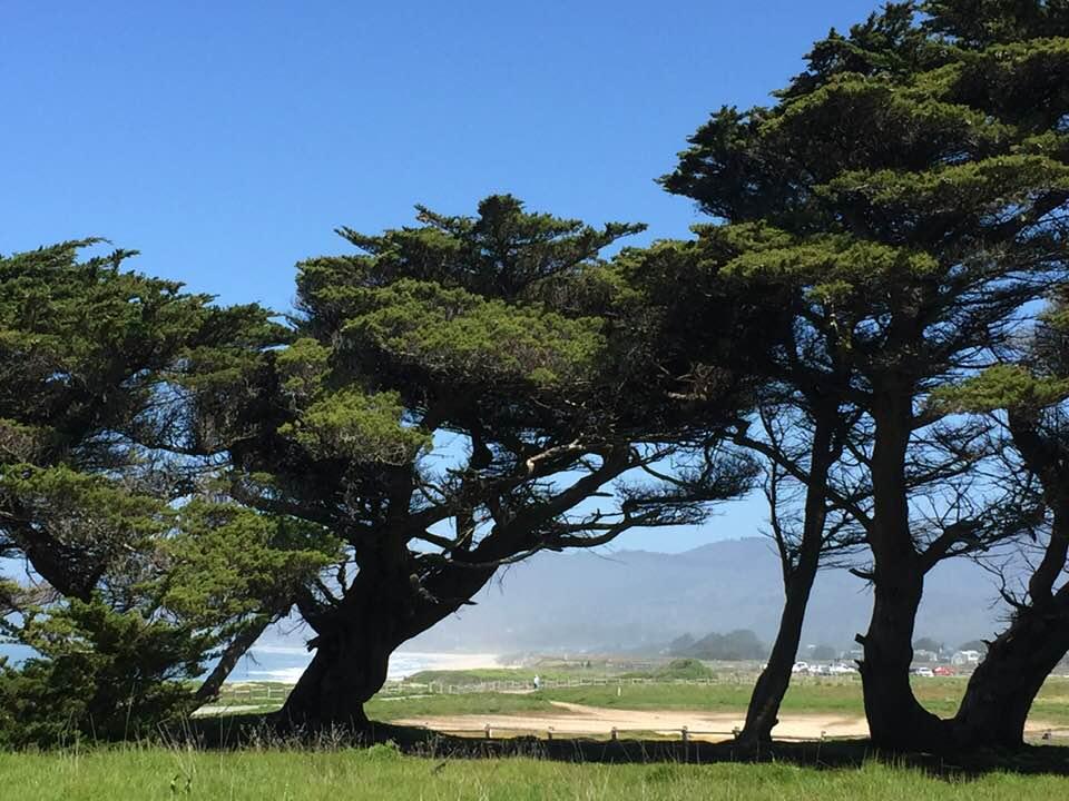 Half Moon Bay