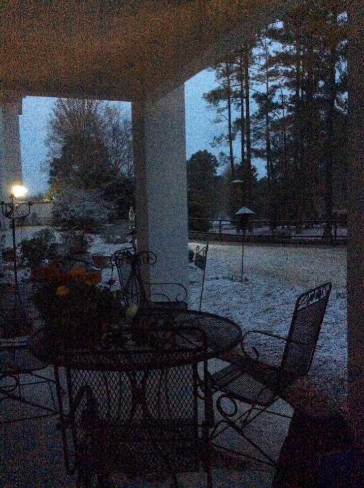 74 degrees last week. Everything blooming a month ahead of schedule. Snowing this morning. Hope the peach buds make it.