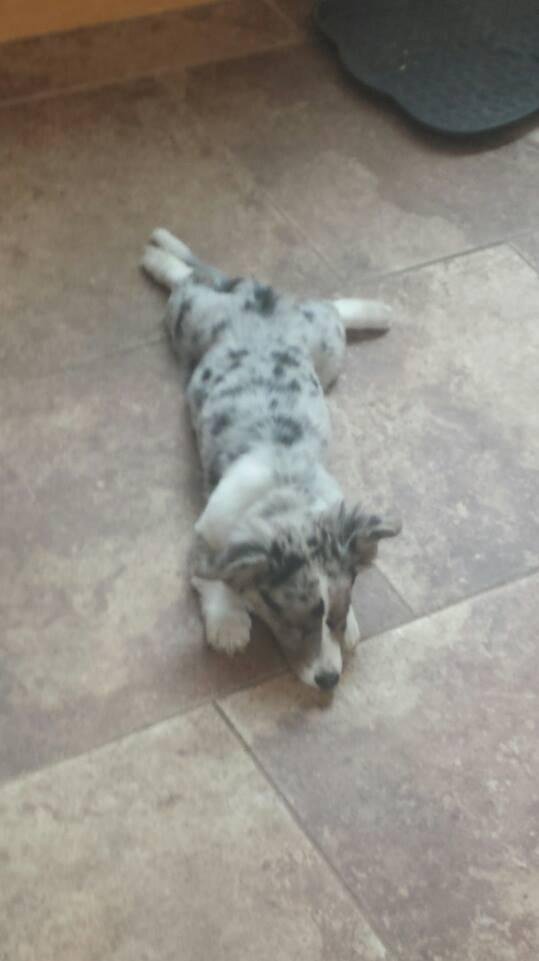 Waiting for Turkey!!!