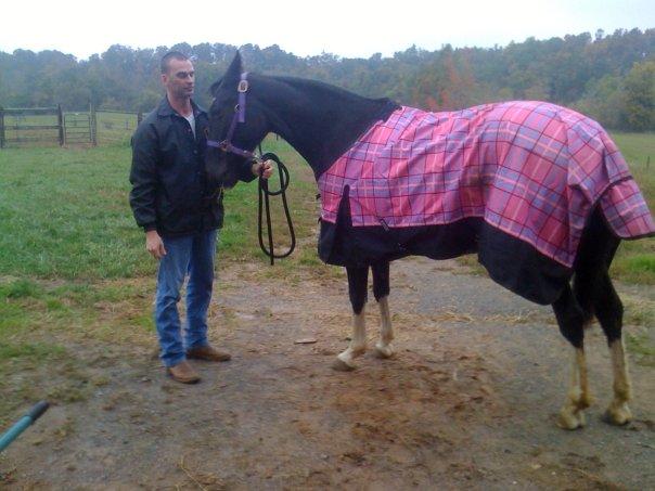 Mark Blain's album, More of the horses