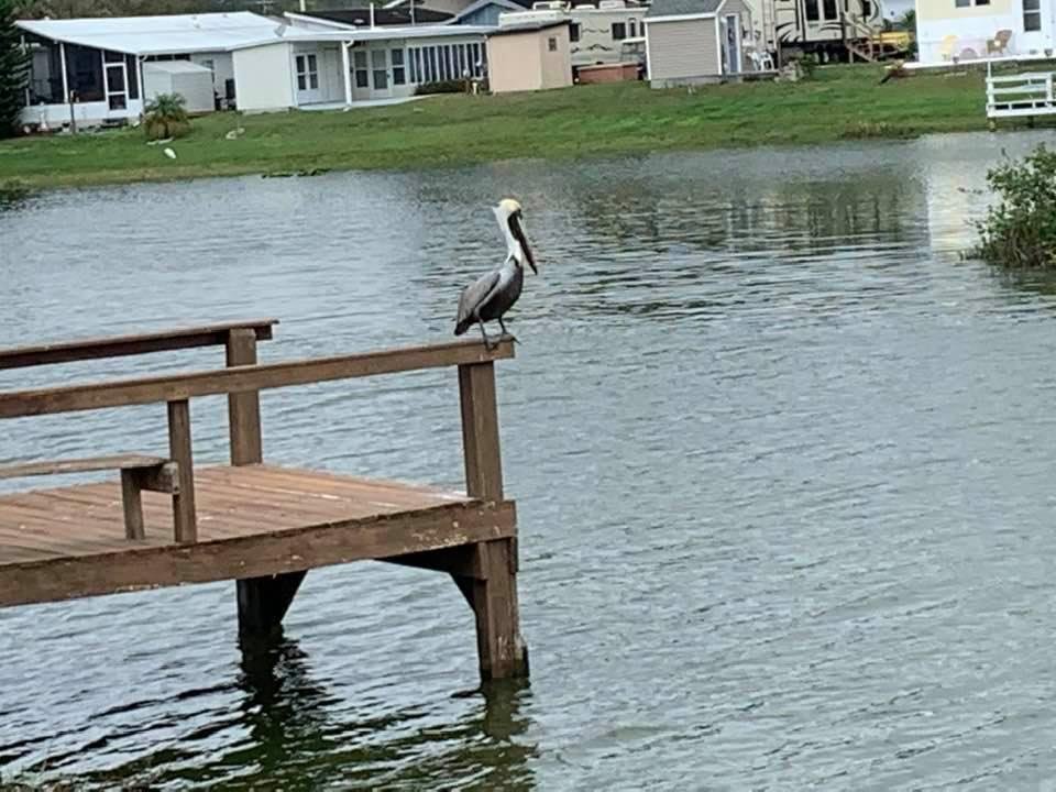 Our morning visitor 😊