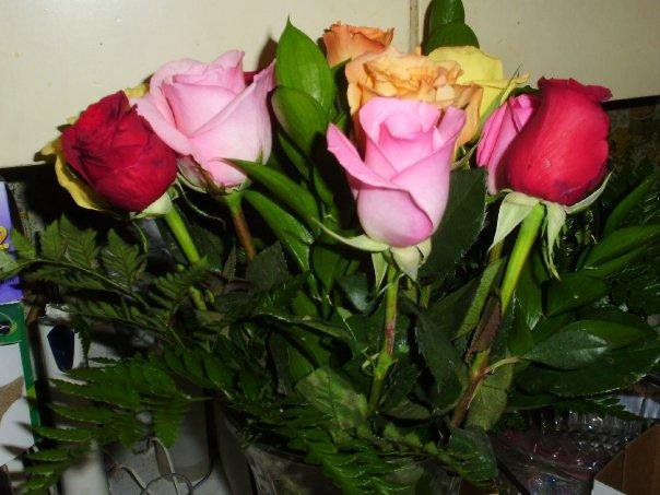 Valentine's Day 2010 My special Valentine from Mya.
