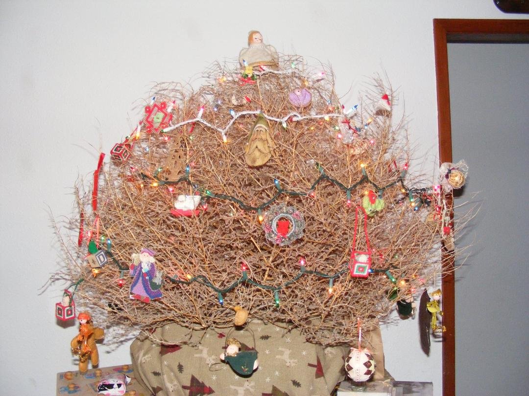 Christmas Past
It was many years ago when I lived in Hornesbend Texas. As a poor family with 4 kids, I was the oldest there would be no Christmas. I did not want to let my little sisters or little brother down so I went out