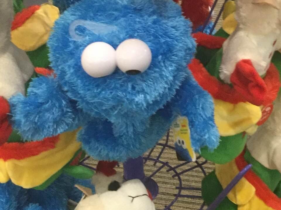 Cooooookkkkiiieeeee! I remember him too. Every afternoon I would retreat to the Newman student center and watch Sesame Street. It was part of my bachelorS degree in mass communications!