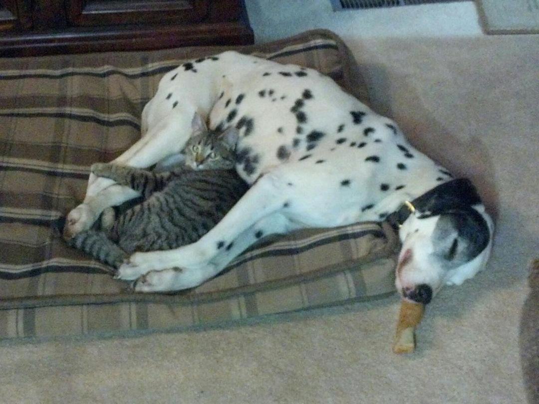 Relaxing on a rain filled night in the house. Could be stuck outside in the rain.